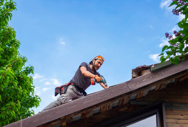 Best Gutter Installation and Repair  in Mobile, AL