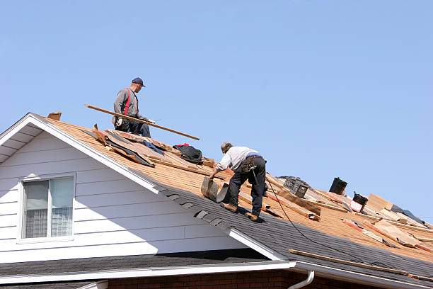 Best Roof Moss and Algae Removal  in Mobile, AL